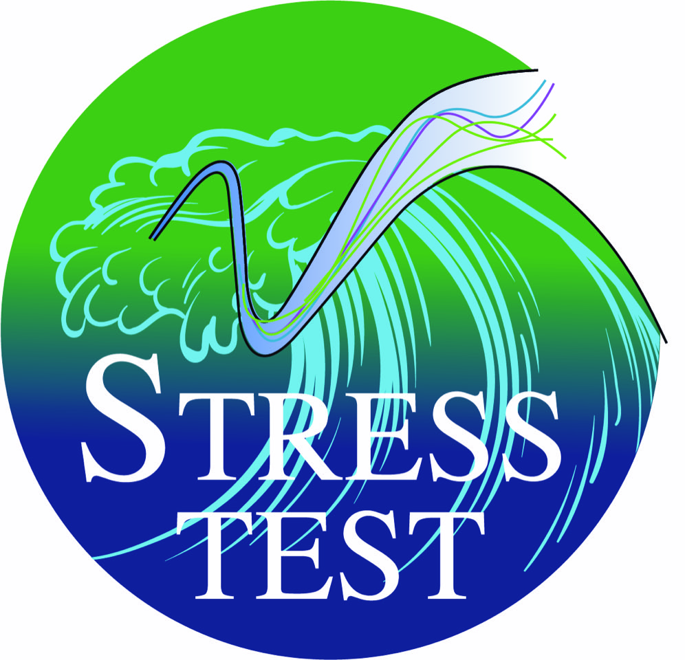 Chair Stress Test, Risk Management and Financial Steering